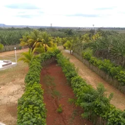 Casa de 8 cuartos, 12 baños y 2 garajes por $ 500.000