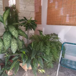 Casa de 4 cuartos, 4 baños y 1 garaje por $ 100.000