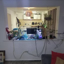 Apartamento de 2 cuartos y 2 baños por $ 20.000