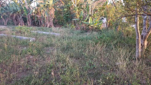 Picture on Terreno 0 por $ 8.000 en Viñales, Pinar del Río