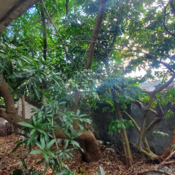 Casa de 3 cuartos y 1 baño por $ 26.000