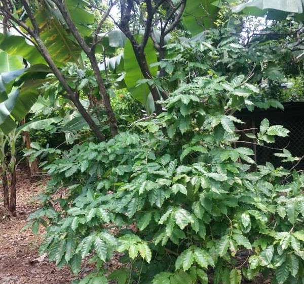 Casa de 5 cuartos, 2 baños y 1 garaje por $ 400.000