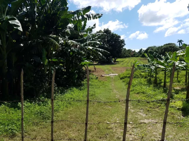 Foto en Terreno de 2 caballerías por $ 12.000