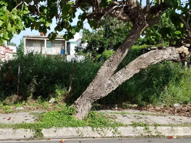 Foto en Terreno 200 metros cuadrados por $ 25.000