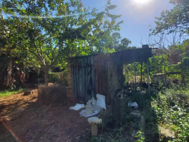 Foto en Casa de 3 cuartos y 1 baño por $ 20.000